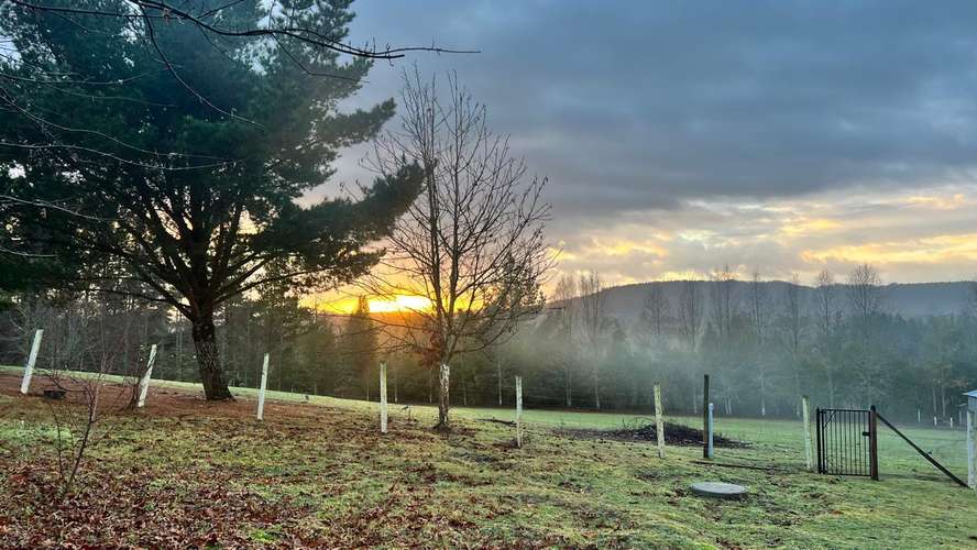 PARCELA 1 ha CON 2 CASAS 200 m2, QUINCHO, SAUNA Y TINAJA – El Liuco, Gorbea