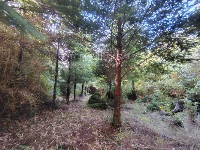 Vendo amplios lotes en el sector costero  (179889) - Imagen 5