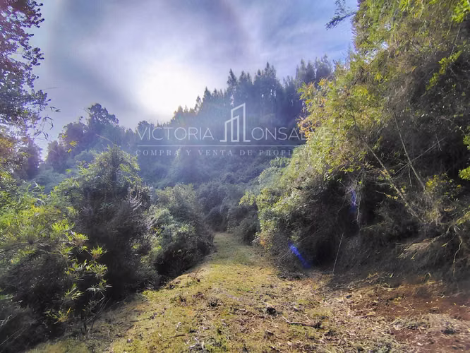 Vendo amplios lotes en el sector costero  (179889) - Imagen 7