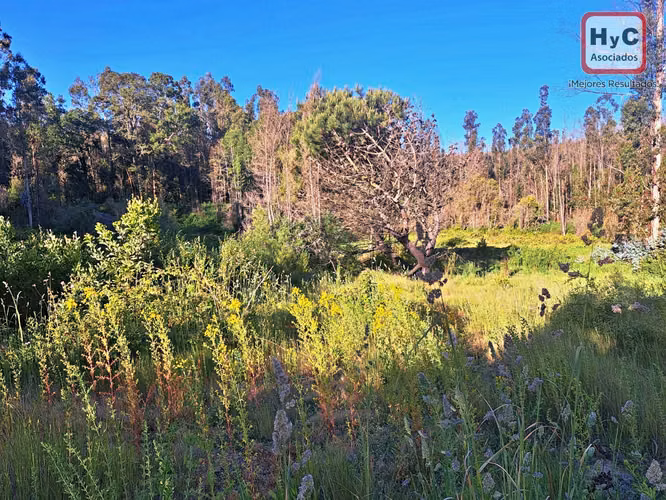 Hermosa Parcela con proyección habitacional o turistico - Imagen 9