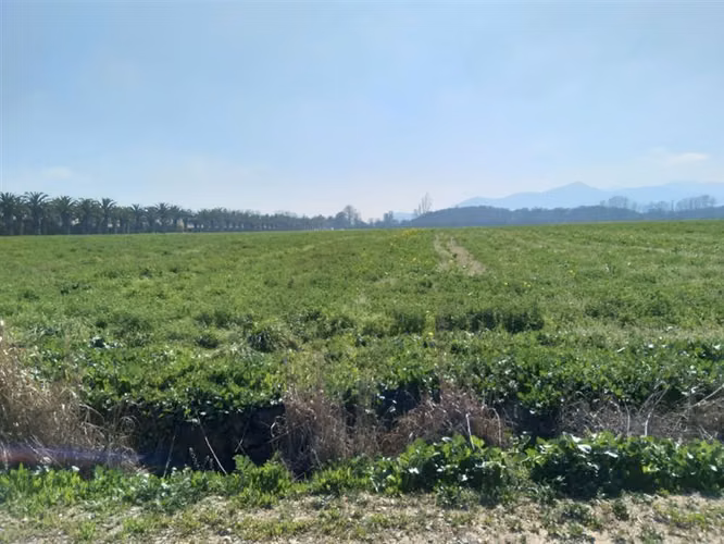Parcela en Venta en Isla de Maipo