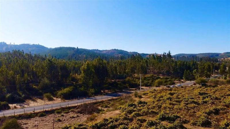 Parcelación a Orilla De Pavimento En Paredones 5000m2 oferta