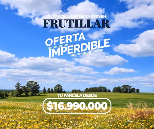 Parcelas en Prados de Frutillar liquidación oferta 5000m2 - Imagen 5