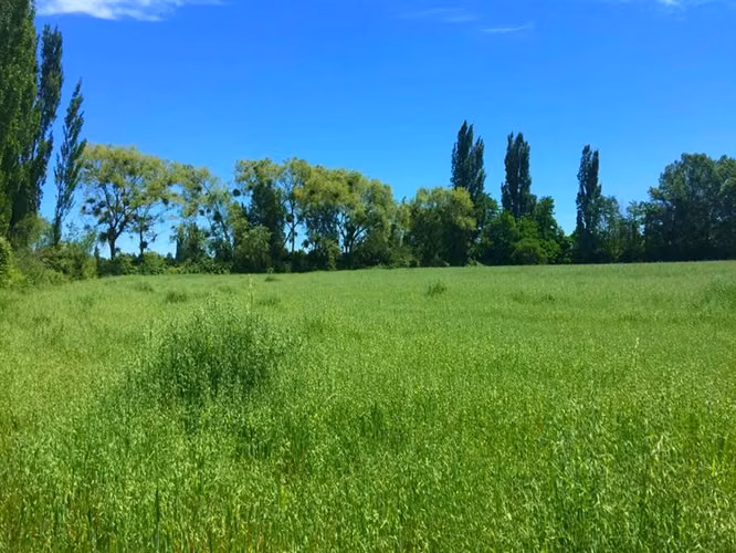Parcelas a Minutos Centro urbano Tierra Fértil crédito pie 0