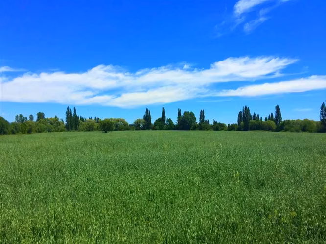 Parcelas a Minutos Centro urbano Tierra Fértil crédito pie 0