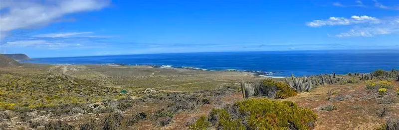 Parcelas en Ovalle remate venta final oportunidad 5.000m2 - Imagen 11