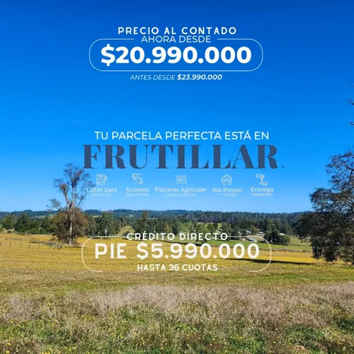 Parcelas crédito directo en Frutillar región de Los Lagos - Imagen 2