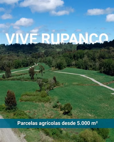 PARCELAS EN LAGO RUPANCO CON ACCESO INTERIOR A RÍO RAHUE - Imagen 2