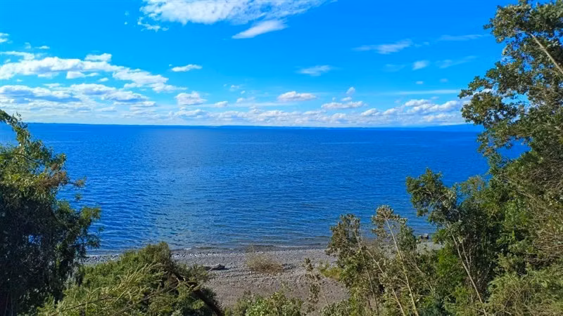 PARCELAS EN PUERTO VARAS ACCESO DIRECTO A LAGO LLANQUIHUE - Imagen 2