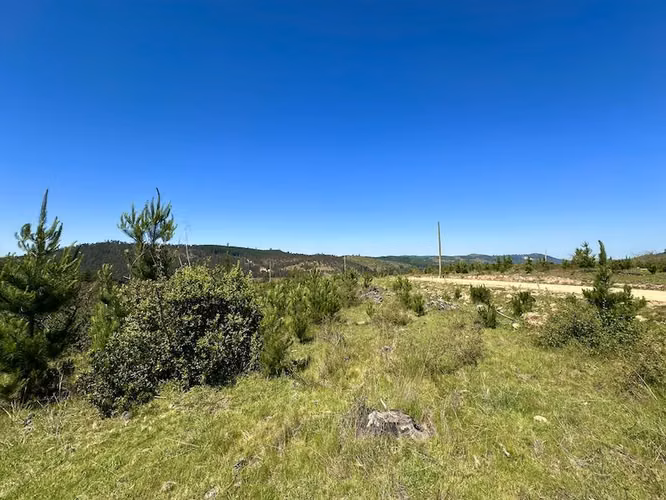 Parcelas en venta en Vichuquén a minutos playa Llico
