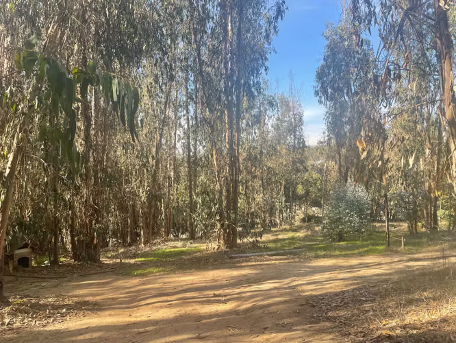 Venta Parcela con Vista – San Juan (179896)