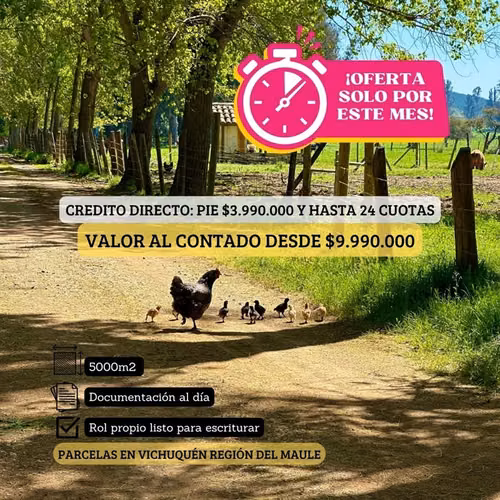 Parcelas en Vichuquén a minutos playa y atractivos naturales - Imagen 21