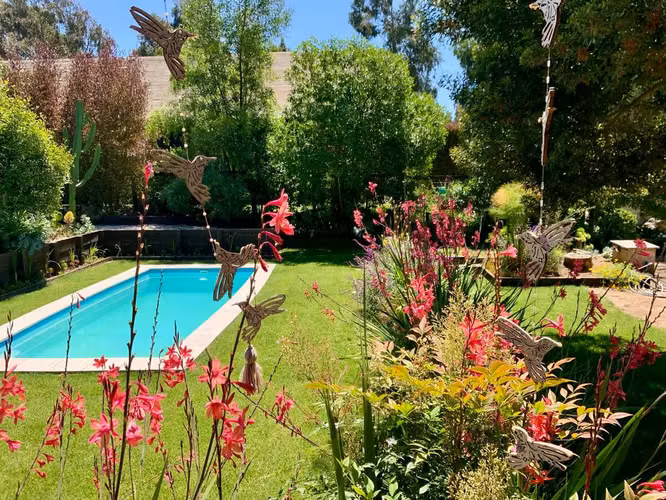 Moderna De Amplios Espacios Y Jardines Piscina Temperada