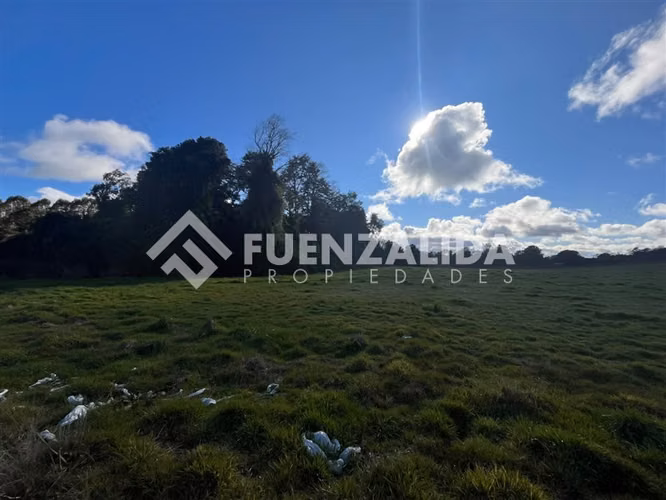 Parcela en venta de 5000 m2 en Loncotoro II