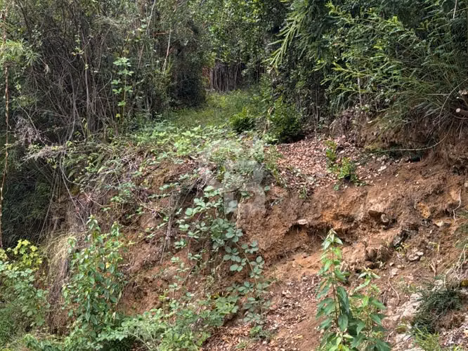 Terreno en Lago Caburgua - Pucón