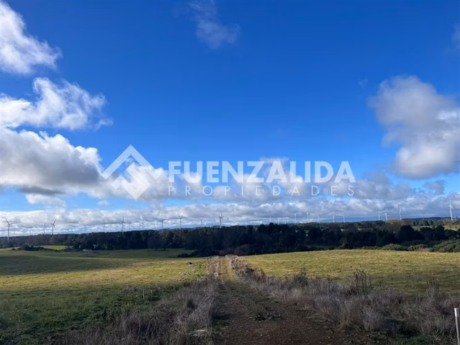 Parcela en venta de 5000 m2 en Loncotoro II