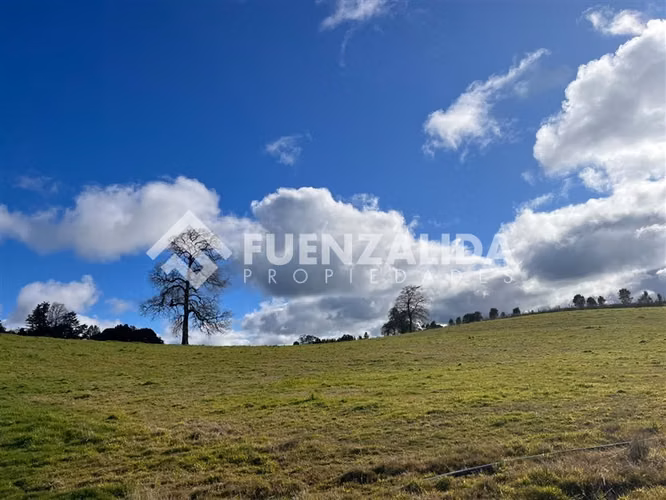 Parcela en venta de 5000 m2 en Loncotoro II