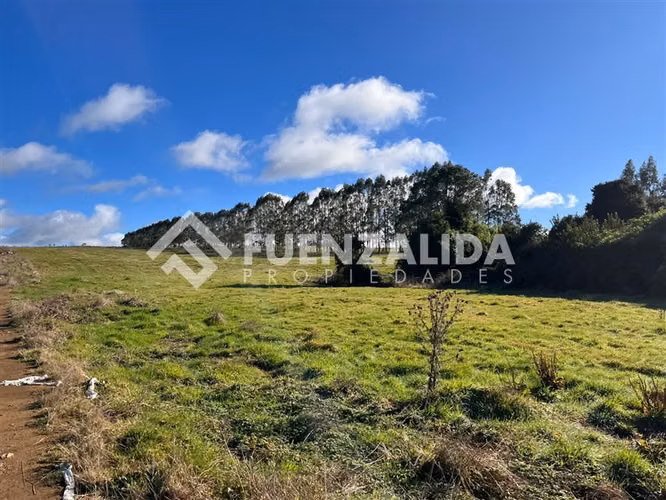 Parcela en venta de 5000 m2 en Loncotoro II