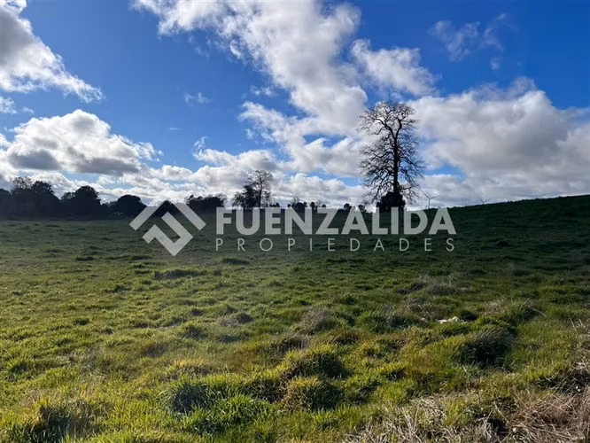 Parcela en venta de 5000 m2 en Loncotoro II