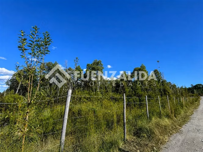 Parcela en venta a 20 minutos de PVaras Colonia Tres Puentes - Imagen 8