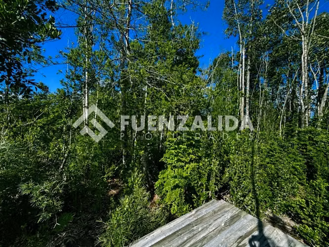 Parcela en venta a 20 minutos de PVaras Colonia Tres Puentes - Imagen 5
