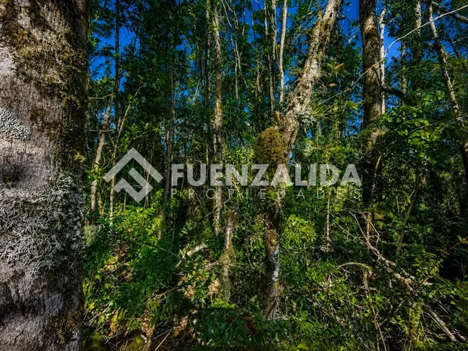 Parcela en venta a 20 minutos de PVaras Colonia Tres Puentes - Imagen 6