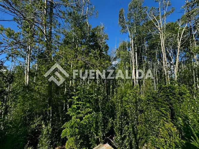 Parcela en venta a 20 minutos de PVaras Colonia Tres Puentes - Imagen 3