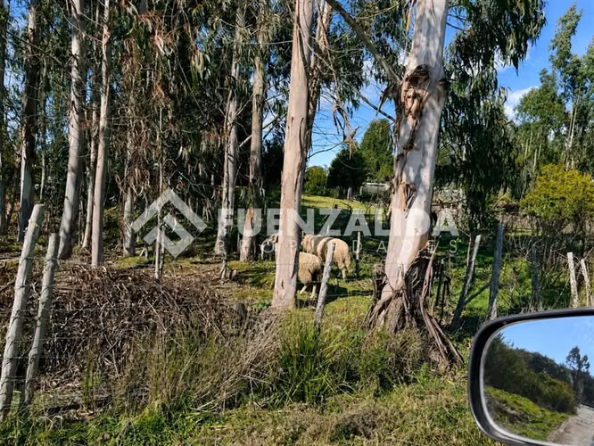 Parcela en venta a 20 minutos de PVaras Colonia Tres Puentes - Imagen 2