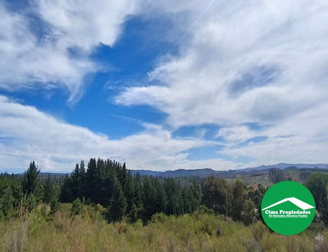 Parcela con acceso directo Ruta de la Madera, a pasos de Nacimiento
