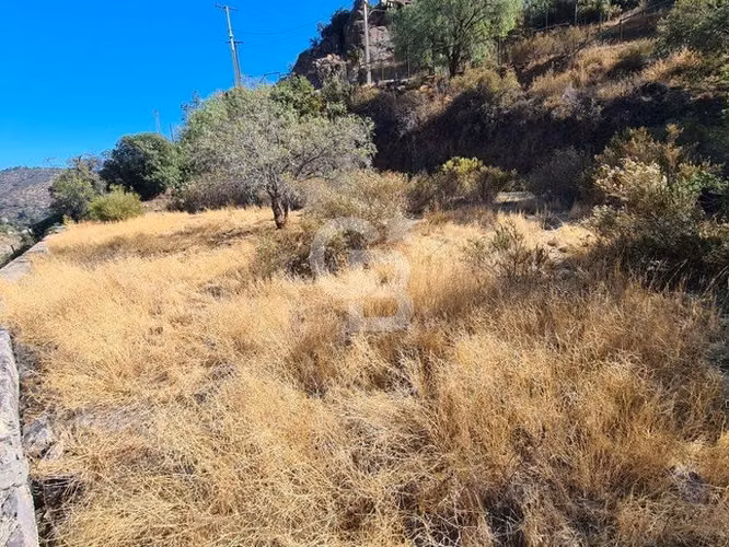 Fundo El Roble - Imagen 2