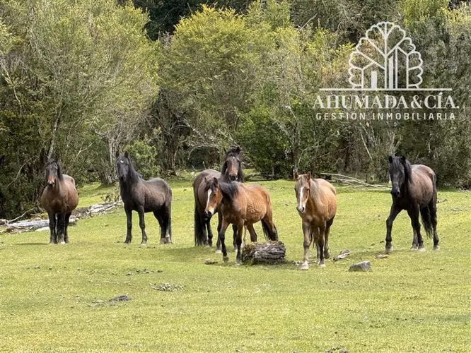 Parcela en venta en Lago Verde