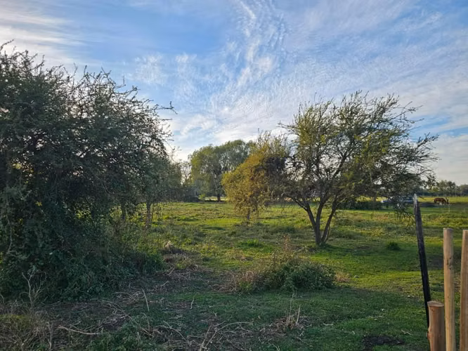 Parcela planas 5000 metros 2