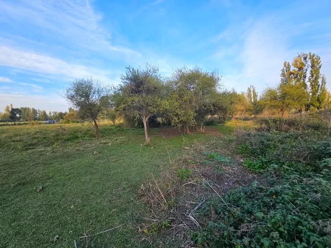 Parcela planas 5000 metros 2