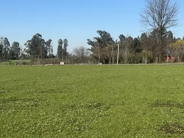 Parcelas sector exclusivo parque Lantaño