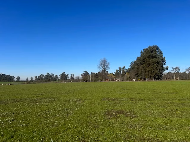 Parcelas sector exclusivo parque Lantaño