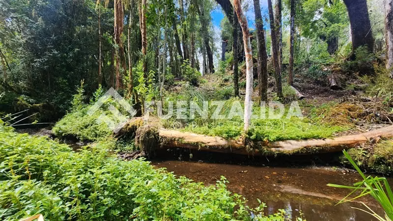 Venta Parcela 2 Casas Independientes Playa Privada Chonchi