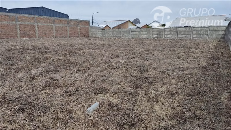 Sitio en venta en Chillán - Imagen 7