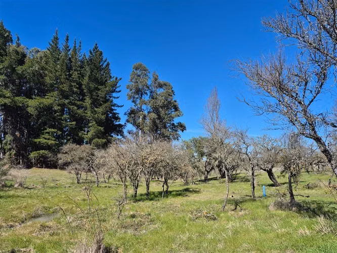Parcela en venta en San Nicolás - Imagen 4