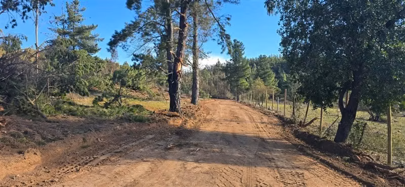 PARCELAS A 35 MIN DE PICHILEMU ROL PROPIO A 10 MIN RUTA I-90 - Imagen 3