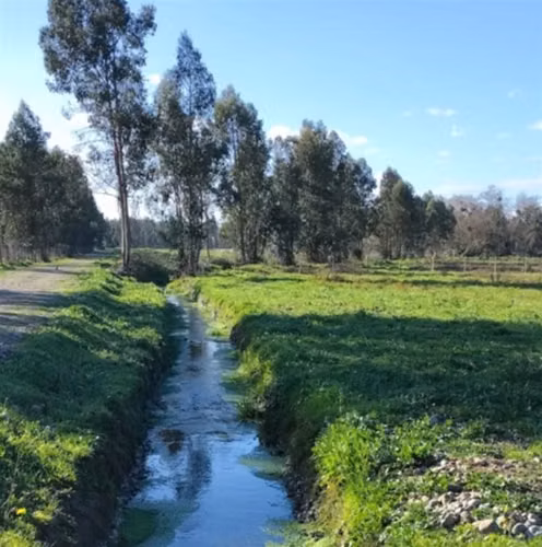 Parcela en Longaví crédito 50 meses a 15 min centro y ruta 5