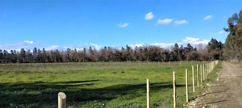 Parcela en Longaví crédito 50 meses a 15 min centro y ruta 5 - Imagen 12