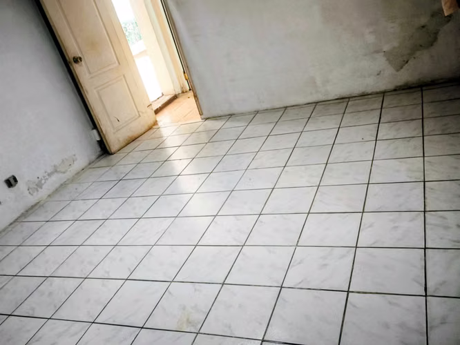 Amplio terreno con casa para remodelar  (179929) - Imagen 4