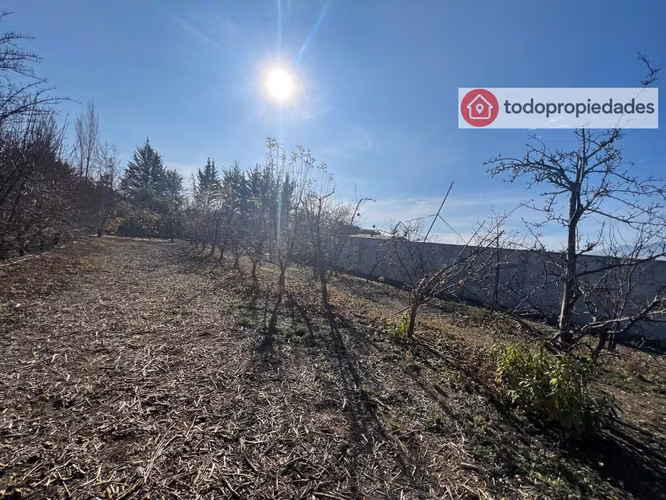 Vendo Campo de plantación de duraznos