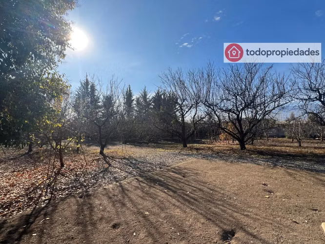 Vendo Campo de plantación de duraznos