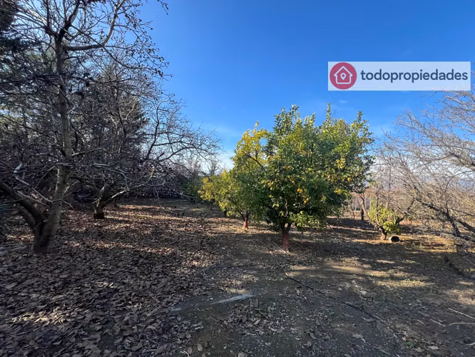 Vendo Campo de plantación de duraznos