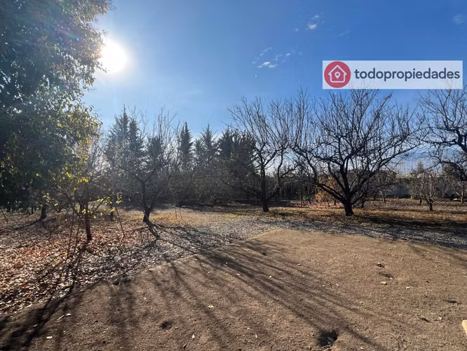 Vendo Campo de plantación de duraznos