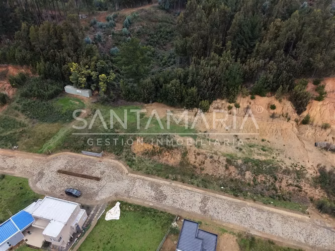 TERRENO CONSTRUCCION Pingueral, Tomé - Imagen 4