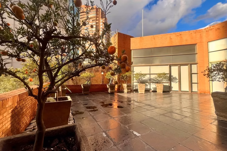 Arriendo dpto 1d a 3 min de metro manquehue - Imagen 13