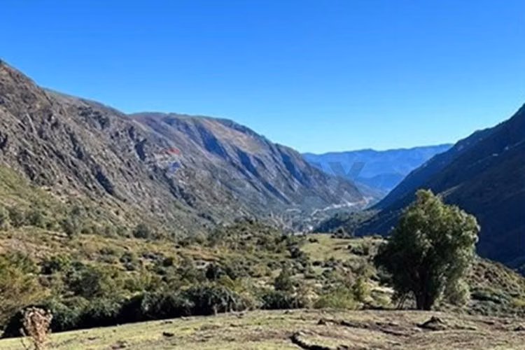 Fundo cordillerano en maule 8.000 ha - Imagen 4