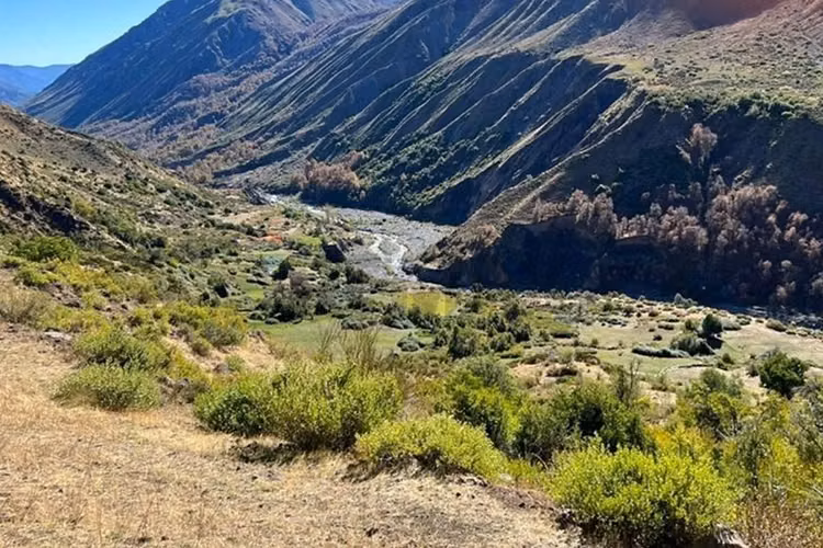 Fundo cordillerano en maule 8.000 ha - Imagen 11
